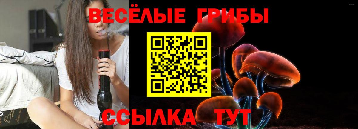 Санкт-Петербург  цены наркотик  Вход с VPN  Галлюциногенные грибы MAGIC MUSHROOMS 
